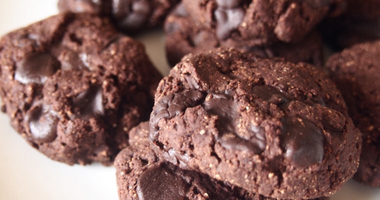 paleo double chocolate chip cookies